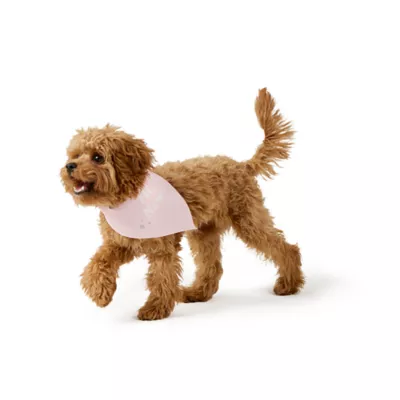 Top Paw® New Puppy Bandana - Image 1