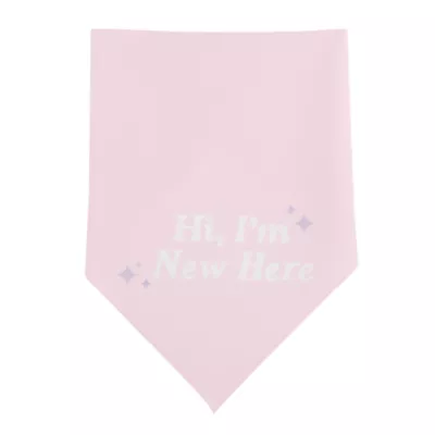 Top Paw® New Puppy Bandana - Image 2
