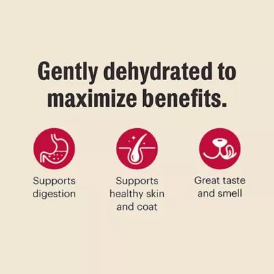 The Honest Kitchen Wholemade Whole Grain Adult Dehydrated Dog Food - Chicken - Image 6