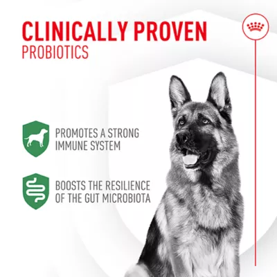 Royal Canin Dog Probiotics Digestive & Immune Health Powder Supplement, 7 Count, 30 Count - Image 2
