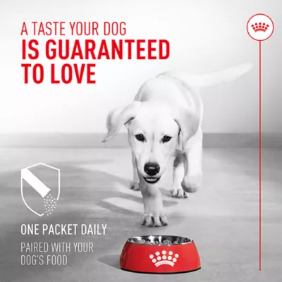 Royal Canin Dog Probiotics Digestive & Immune Health Powder Supplement, 7 Count, 30 Count - Image 4