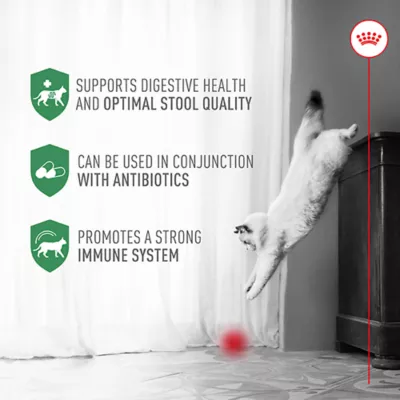 Royal Canin Cat Supplement - Probiotics for Digestive & Immune Health Powder Packets, 7-30 ct - Image 5