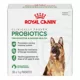 Product Royal Canin Probiotics for Dogs Digestive and Immune Health Powder Supplement
