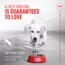 Royal Canin Dog Probiotics Digestive & Immune Health Powder Supplement, 7 Count, 30 Count image thumbnail 4