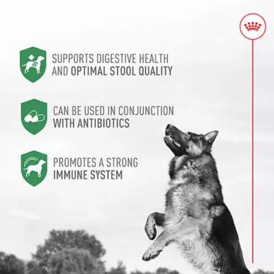 Product Royal Canin Probiotics for Dogs Digestive and Immune Health Powder Supplement