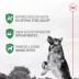 Royal Canin Probiotics for Dogs Digestive and Immune Health Powder Supplement image thumbnail 5
