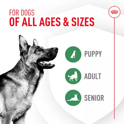 Product Royal Canin Probiotics for Dogs Digestive and Immune Health Powder Supplement