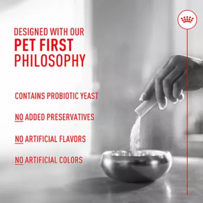 Product Royal Canin Probiotics for Dogs Digestive and Immune Health Powder Supplement