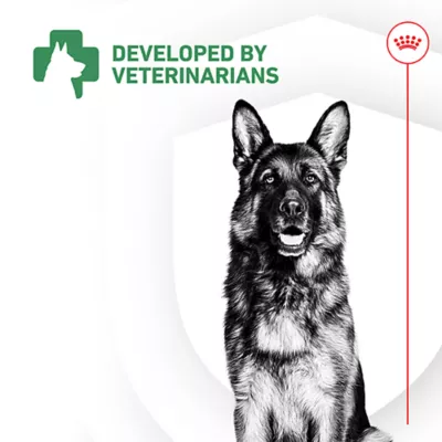 Product Royal Canin Probiotics for Dogs Digestive and Immune Health Powder Supplement