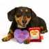 GMASON Valentines Day Sweetheart Candy Dog Toy image thumbnail 5