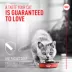 Royal Canin Probiotics for Cats Digestive and Immune Health Powder Supplement image thumbnail 4
