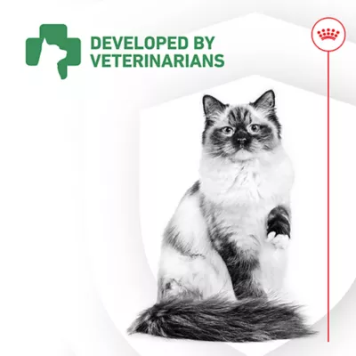 Product Royal Canin Probiotics for Cats Digestive and Immune Health Powder Supplement