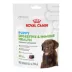 Royal Canin Dog Immunity & Digestive Soft Chew Puppy Supplement, Pre & Postbiotics. 60 Count image thumbnail 1