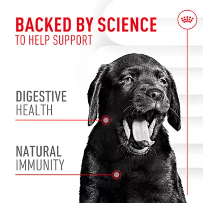Product Royal Canin Immunity & Digestive Soft Chew Puppy Supplement, 60 count