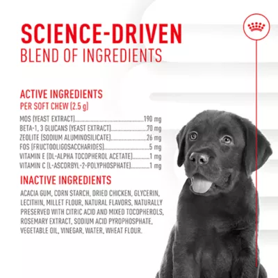 Product Royal Canin Immunity & Digestive Soft Chew Puppy Supplement, 60 count