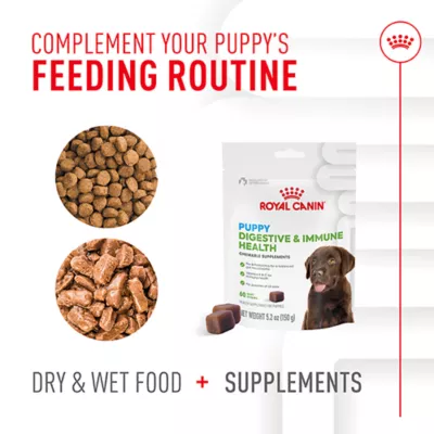 Product Royal Canin Immunity & Digestive Soft Chew Puppy Supplement, 60 count
