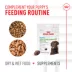 Royal Canin Dog Immunity & Digestive Soft Chew Puppy Supplement, Pre & Postbiotics. 60 Count image thumbnail 6