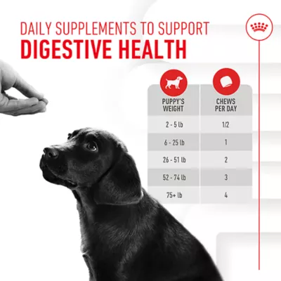Product Royal Canin Immunity & Digestive Soft Chew Puppy Supplement, 60 count