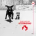 Royal Canin Dog Immunity & Digestive Soft Chew Puppy Supplement, Pre & Postbiotics. 60 Count image thumbnail 8
