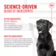 Product Royal Canin Digestive Supplement Soft Chews for Adult Dogs, 60 count