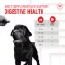 Royal Canin Adult Dog Digestive Supplement Soft Chews, Pre & Postbiotics, 60 Count image thumbnail 7