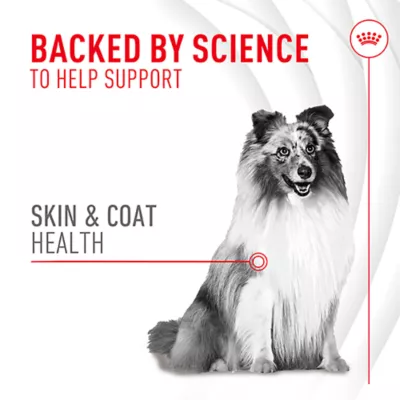 Product Royal Canin, Royal Canin Skin & Coat Supplement Soft Chews for Adult Dogs, 8.47oz pouch