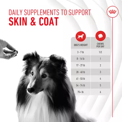 Product Royal Canin, Royal Canin Skin & Coat Supplement Soft Chews for Adult Dogs, 8.47oz pouch