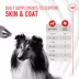 Royal Canin, Royal Canin Skin & Coat Supplement Soft Chews for Adult Dogs, 8.47oz pouch image thumbnail 7