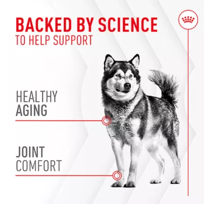 Product Royal Canin Joint Supplement Soft Chews for Adult Dogs, 60 count