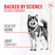 Product Royal Canin Joint Supplement Soft Chews for Adult Dogs, 60 count