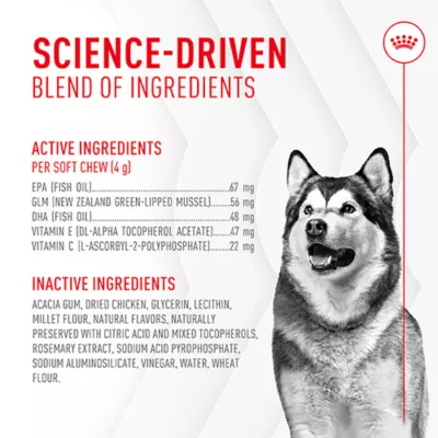 Product Royal Canin Joint Supplement Soft Chews for Adult Dogs, 60 count