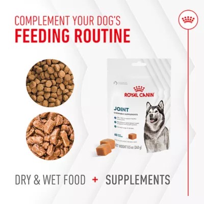 Product Royal Canin Joint Supplement Soft Chews for Adult Dogs, 60 count