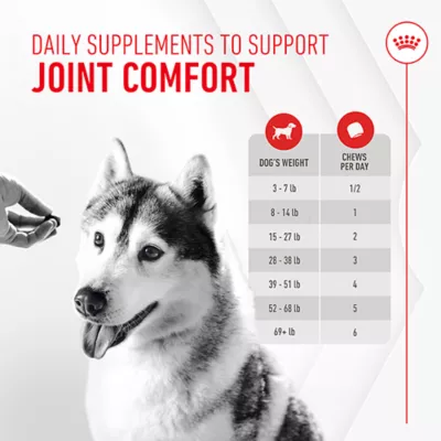 Product Royal Canin Joint Supplement Soft Chews for Adult Dogs, 60 count