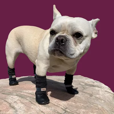 Muttluks MuttSlouchers Reflective Dog Socks - Image 3