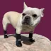 Muttluks MuttSlouchers Reflective Dog Socks image thumbnail 3
