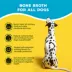 Brutus Bone Broth On The Go Hip & Joint Powder Adult Dog Food Topper - Beef image thumbnail 4