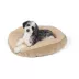 Top Paw® Better Bed image thumbnail 2