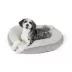 Top Paw® Better Bed image thumbnail 2