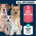 Authority® Everyday Health All Life Stages Dry Dog Food - Chicken & Rice image thumbnail 3