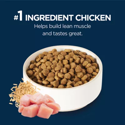 Authority® Everyday Health All Life Stages Dry Dog Food - Chicken & Rice - Image 4