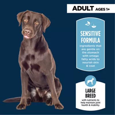 Authority Sensitive Stomach & Skin Large Breed Adult Dog Dry Food - Salmon & Rice - Image 3