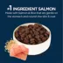 Authority Sensitive Stomach & Skin Large Breed Adult Dog Dry Food - Salmon & Rice image thumbnail 4