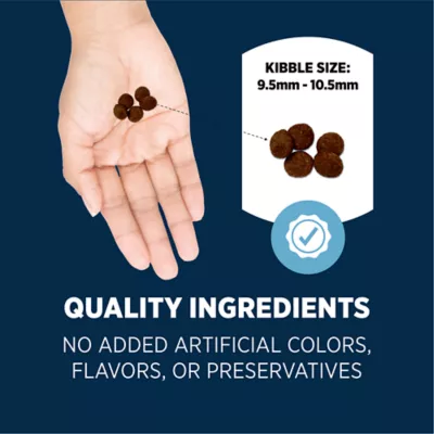 Authority Sensitive Stomach & Skin Large Breed Adult Dog Dry Food - Salmon & Rice - Image 5