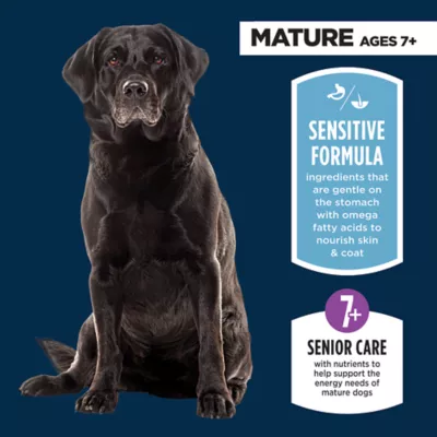 Authority Sensitive Stomach & Skin Senior Adult Dry Dog Food - Salmon - Image 3