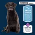 Authority Sensitive Stomach & Skin Senior Adult Dry Dog Food - Salmon image thumbnail 3