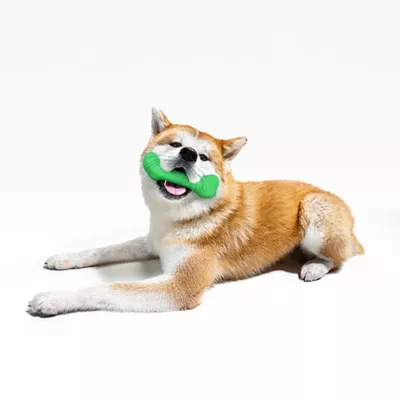 Product Playology Holiday Mom's Turkey Scented Crunch Bone Dog Toy, Jumbo