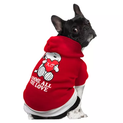 Give Me All the Love Snoopy Hoodie - Image 1