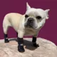 Product Muttluks MuttSlouchers Reflective Dog Socks