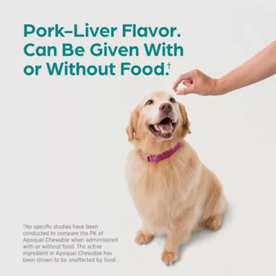 Apoquel (oclacitinib chewable tablet) Chewable for Dogs - 3.6 mg, 5.4 mg, or 16 mg - 1 CT or 30 CT - Image 7