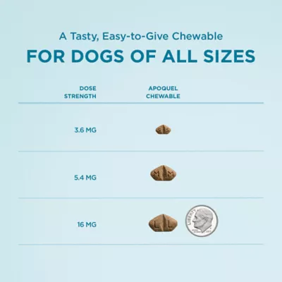 Apoquel (oclacitinib chewable tablet) Chewable for Dogs - 3.6 mg, 5.4 mg, or 16 mg - 1 CT or 30 CT - Image 10